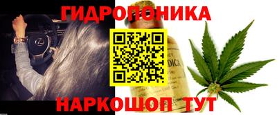 PSILOCYBIN Гусь-Хрустальный