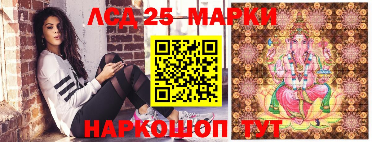 Наркотические марки 1500мкг  Вход с VPN  Наркотические марки 1500мкг  Кольчугино 