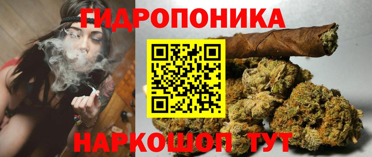 Каннабис индика Кольчугино